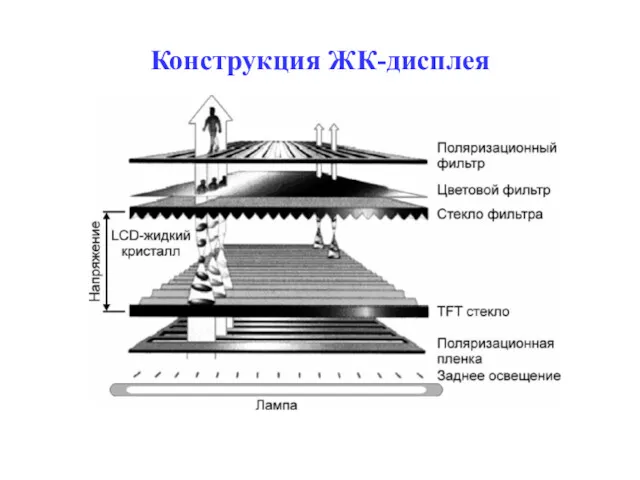 Конструкция ЖК-дисплея