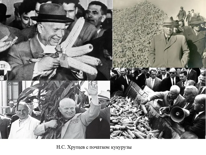 Н.С. Хрущев с початком кукурузы