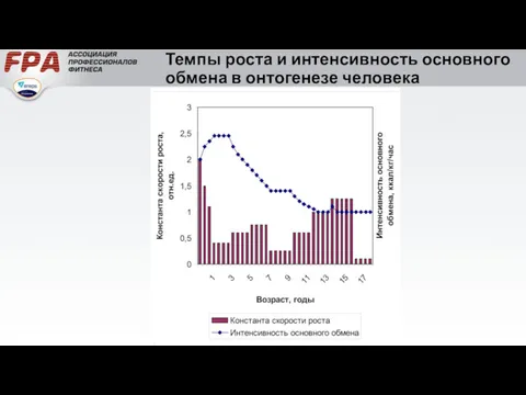 Темпы роста и интенсивность основного обмена в онтогенезе человека