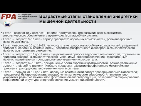 Возрастные этапы становления энергетики мышечной деятельности 1 этап – возраст