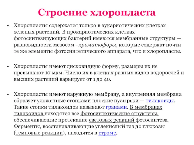 Строение хлоропласта Хлоропласты содержатся только в эукариотических клетках зеленых растений.