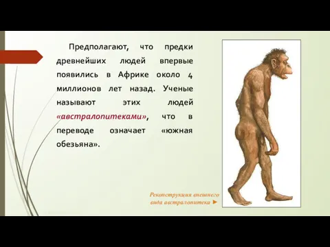 © Жадаев Д.Н., 2005 Предполагают, что предки древнейших людей впервые