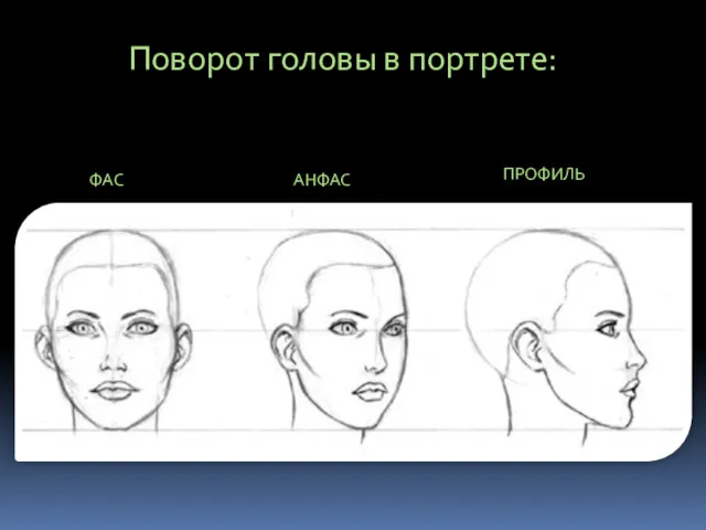 Поворот головы в портрете: ФАС АНФАС ПРОФИЛЬ