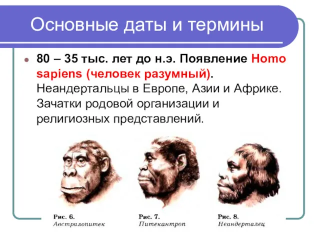 Основные даты и термины 80 – 35 тыс. лет до