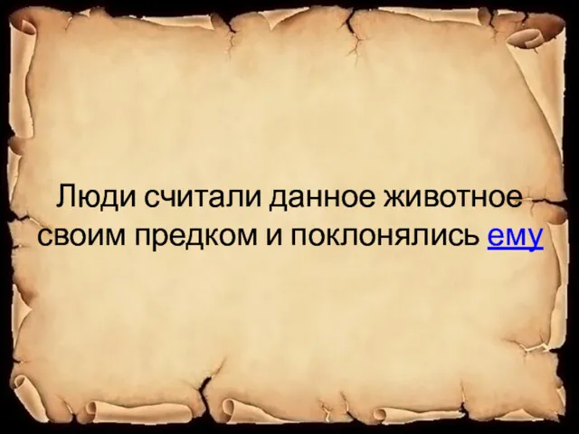 Люди считали данное животное своим предком и поклонялись ему