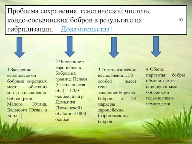 Проблема сохранения генетической чистоты кондо-сосьвинских бобров в результате их гибридизации.