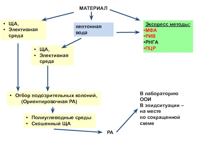 МАТЕРИАЛ ЩА, Элективная среда пептонная вода Экспресс методы: МФА РИВ