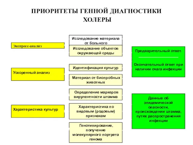 ПРИОРИТЕТЫ ГЕННОЙ ДИАГНОСТИКИ ХОЛЕРЫ Экспресс-анализ Исследование материала от больного Предварительный