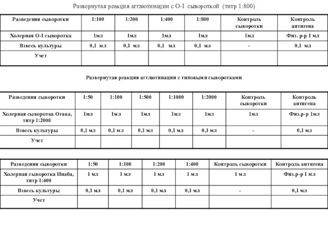 Развернутая реакция агглютинации с О-I сывороткой (титр 1:800) Развернутая реакция агглютинации с типовыми сыворотками