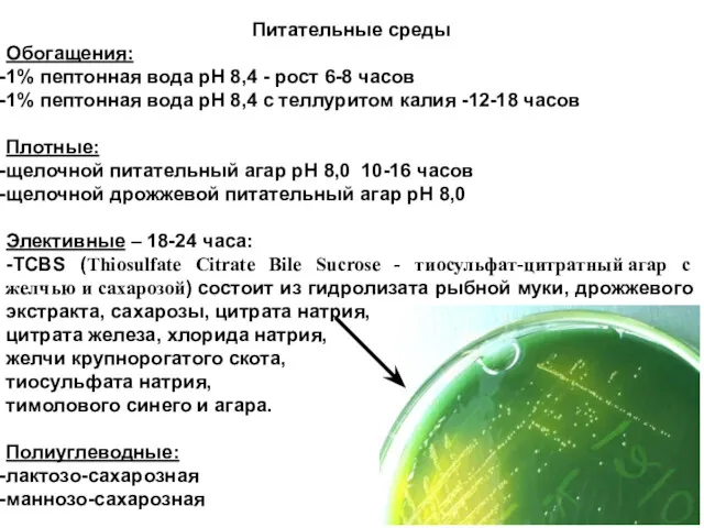 Питательные среды Обогащения: 1% пептонная вода рН 8,4 - рост