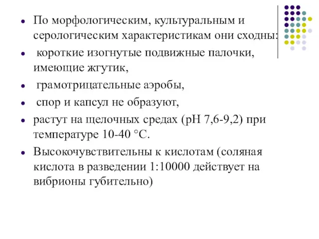 По морфологическим, культуральным и серологическим характеристикам они сходны: короткие изогнутые