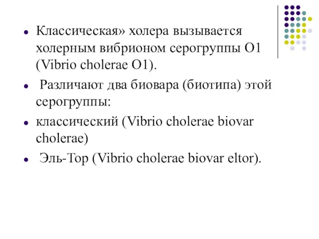 Классическая» холера вызывается холерным вибрионом серогруппы О1 (Vibrio cholerae O1).