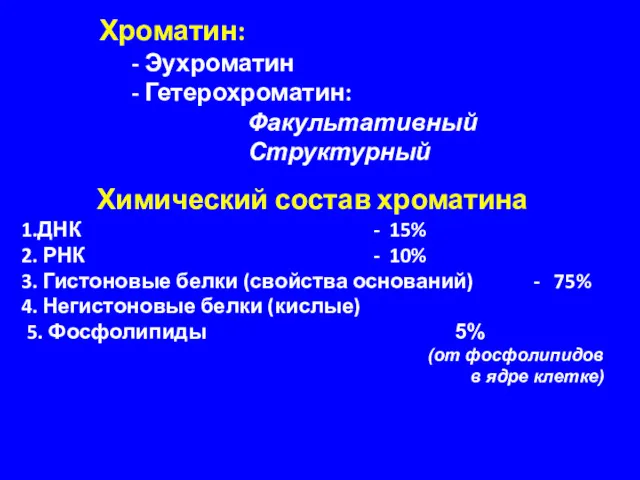 Хроматин: - Эухроматин - Гетерохроматин: Факультативный Структурный Химический состав хроматина