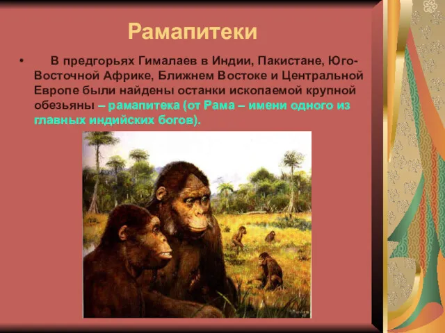 Рамапитеки В предгорьях Гималаев в Индии, Пакистане, Юго-Восточной Африке, Ближнем