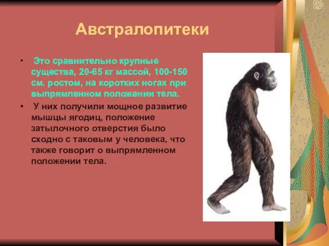 Австралопитеки Это сравнительно крупные существа, 20-65 кг массой, 100-150 см.