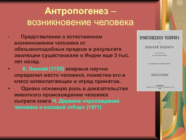 Антропогенез – возникновение человека Представления о естественном возникновении человека от