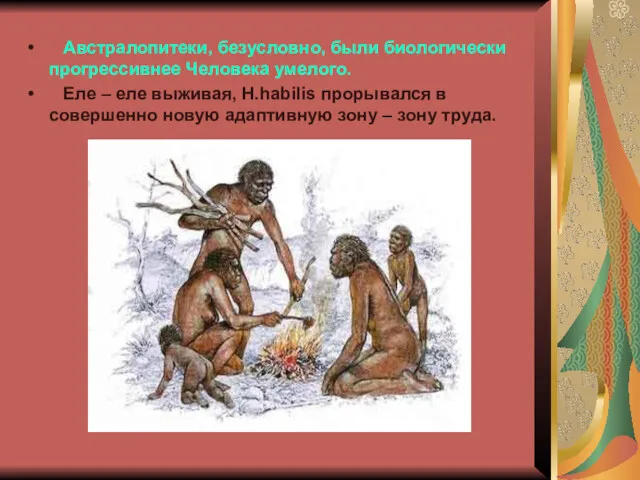 Австралопитеки, безусловно, были биологически прогрессивнее Человека умелого. Еле – еле