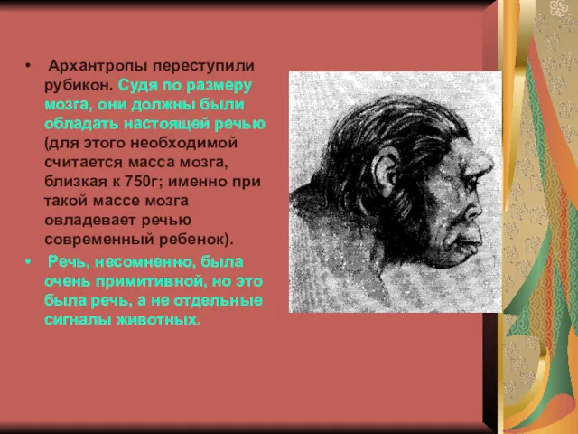 Архантропы переступили рубикон. Судя по размеру мозга, они должны были