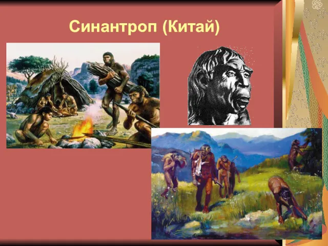 Синантроп (Китай)