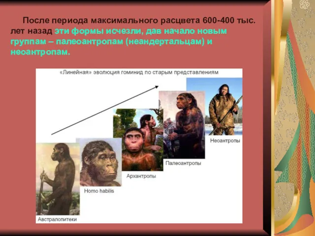 После периода максимального расцвета 600-400 тыс. лет назад эти формы