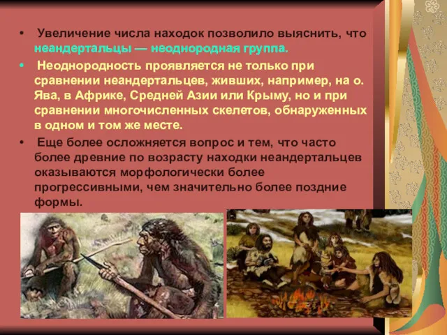 Увеличение числа находок позволило выяснить, что неандертальцы — неоднородная группа.