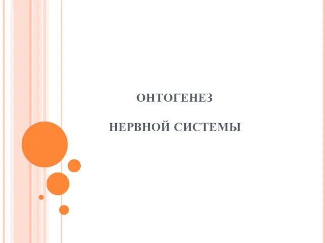 ОНТОГЕНЕЗ НЕРВНОЙ СИСТЕМЫ