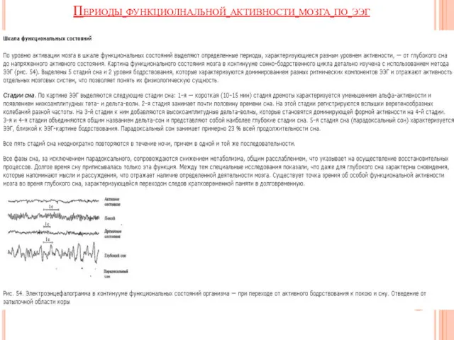 Периоды функциолнальной активности мозга по ээг