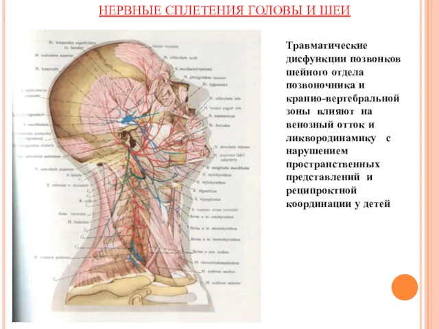 Многоуровневые туннельные нарушения Травматические дисфункции позвонков шейного отдела позвоночника и