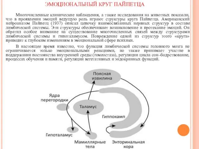 Многочисленные клинические наблюдения, а также исследования на животных показали, что в проявлении эмоций