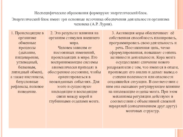 Неспецифические образования формируют энергетический блок. Энергетический блок имеет три основные