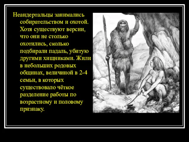 Неандертальцы занимались собирательством и охотой. Хотя существуют версии, что они не столько охотились,