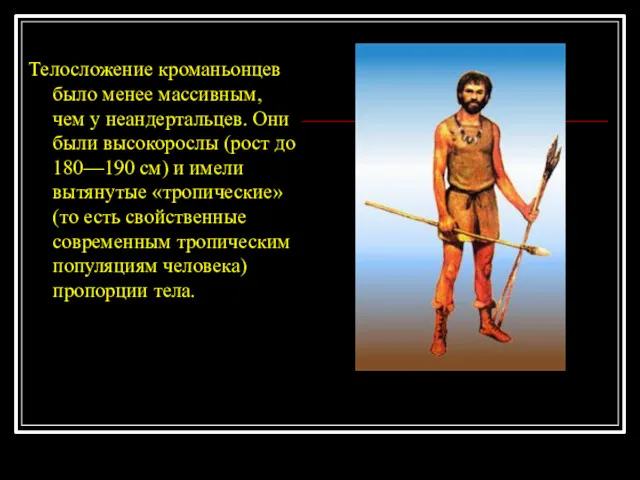 Телосложение кроманьонцев было менее массивным, чем у неандертальцев. Они были высокорослы (рост до