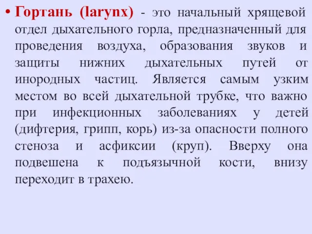 Гортань (larynx) - это начальный хрящевой отдел дыхательного горла, предназначенный