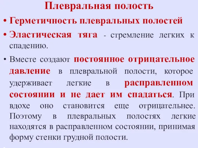 Плевральная полость Герметичность плевральных полостей Эластическая тяга - стремление легких