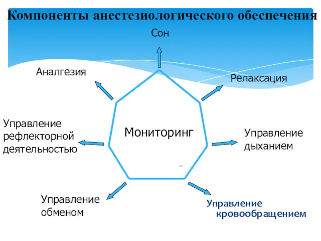 Управление кровообращением Мониторинг Сон Релаксация Аналгезия Управление дыханием Управление обменом Управление рефлекторной деятельностью Компоненты анестезиологического обеспечения