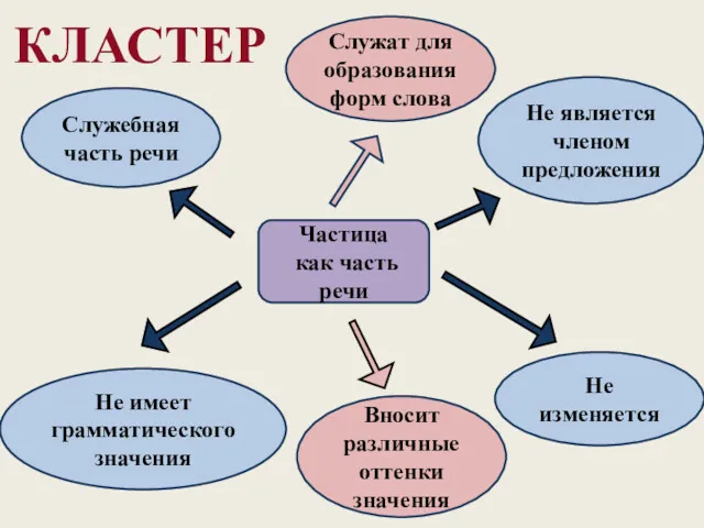 КЛАСТЕР Частица как часть речи Не изменяется Не является членом