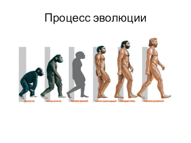 Процесс эволюции