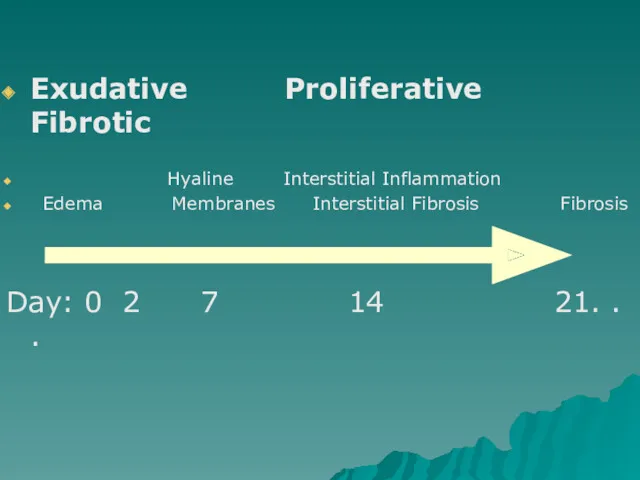 Exudative Proliferative Fibrotic Hyaline Interstitial Inflammation Edema Membranes Interstitial Fibrosis