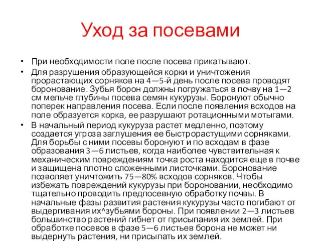 Уход за посевами При необходимости поле после посева прикатывают. Для