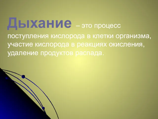 Дыхание – это процесс поступления кислорода в клетки организма, участие кислорода в реакциях