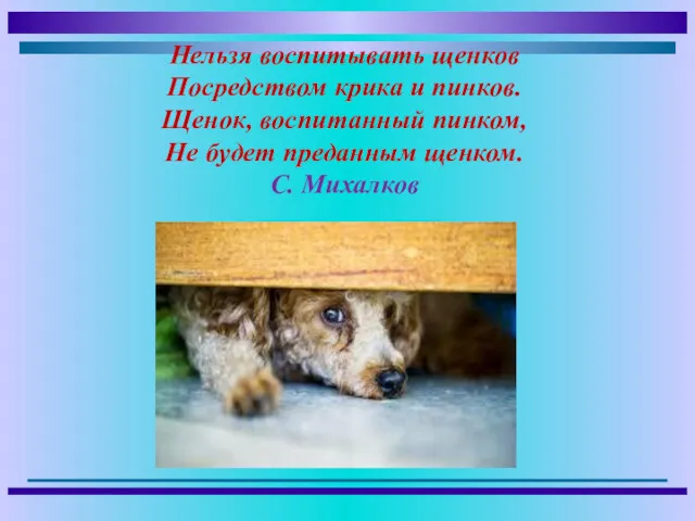 Нельзя воспитывать щенков Посредством крика и пинков. Щенок, воспитанный пинком, Не будет преданным щенком. С. Михалков