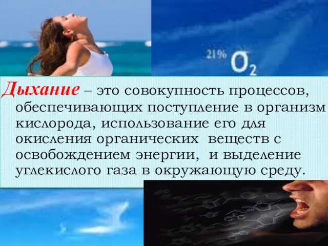 Дыхание – это совокупность процессов, обеспечивающих поступление в организм кислорода, использование его для