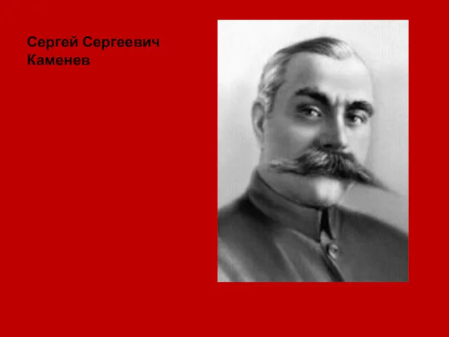 Сергей Сергеевич Каменев