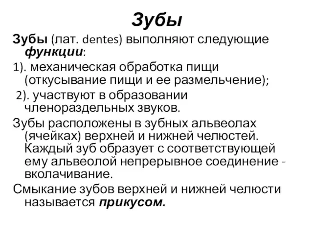 Зубы Зубы (лат. dentes) выполняют следующие функции: 1). механическая обработка