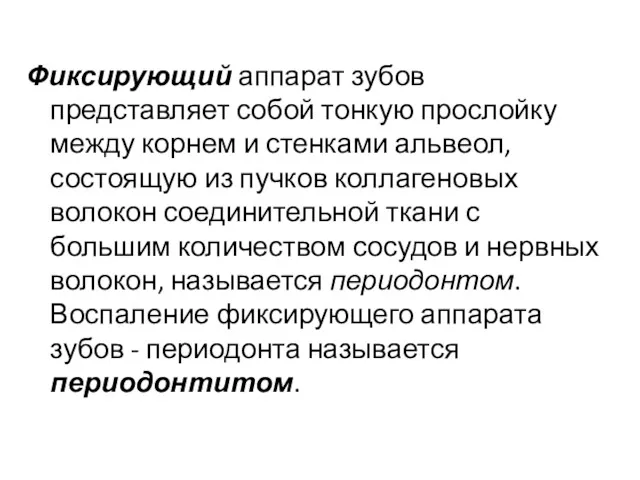 Фиксирующий аппарат зубов представляет собой тонкую прослойку между корнем и