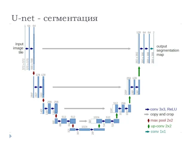 U-net - сегментация