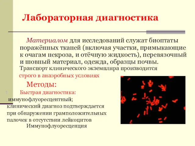 Лабораторная диагностика Материалом для исследований служат биоптаты поражённых тканей (включая