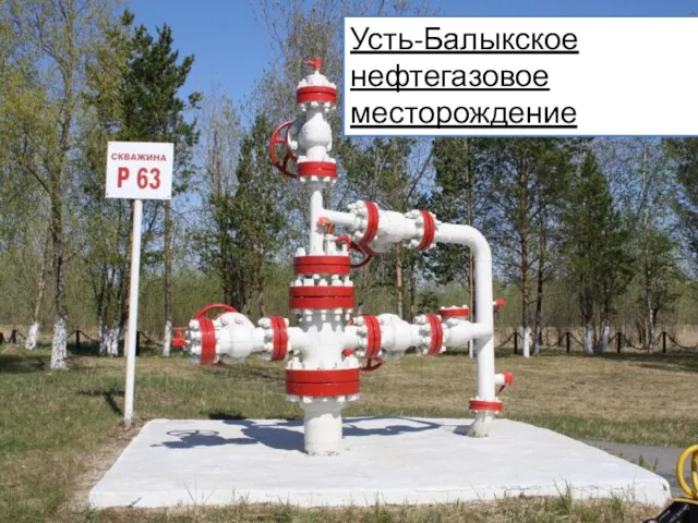 Усть-Балыкское нефтегазовое месторождение