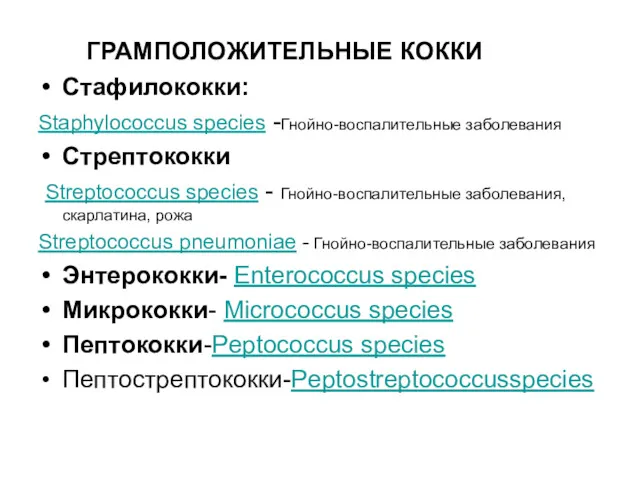 ГРАМПОЛОЖИТЕЛЬНЫЕ КОККИ Стафилококки: Staphylococcus species -Гнойно-воспалительные заболевания Стрептококки Streptococcus species