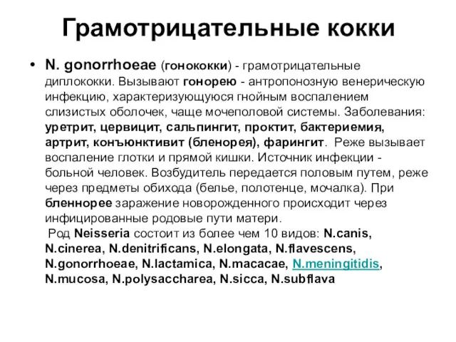 Грамотрицательные кокки N. gonorrhoeae (гонококки) - грамотрицательные диплококки. Вызывают гонорею